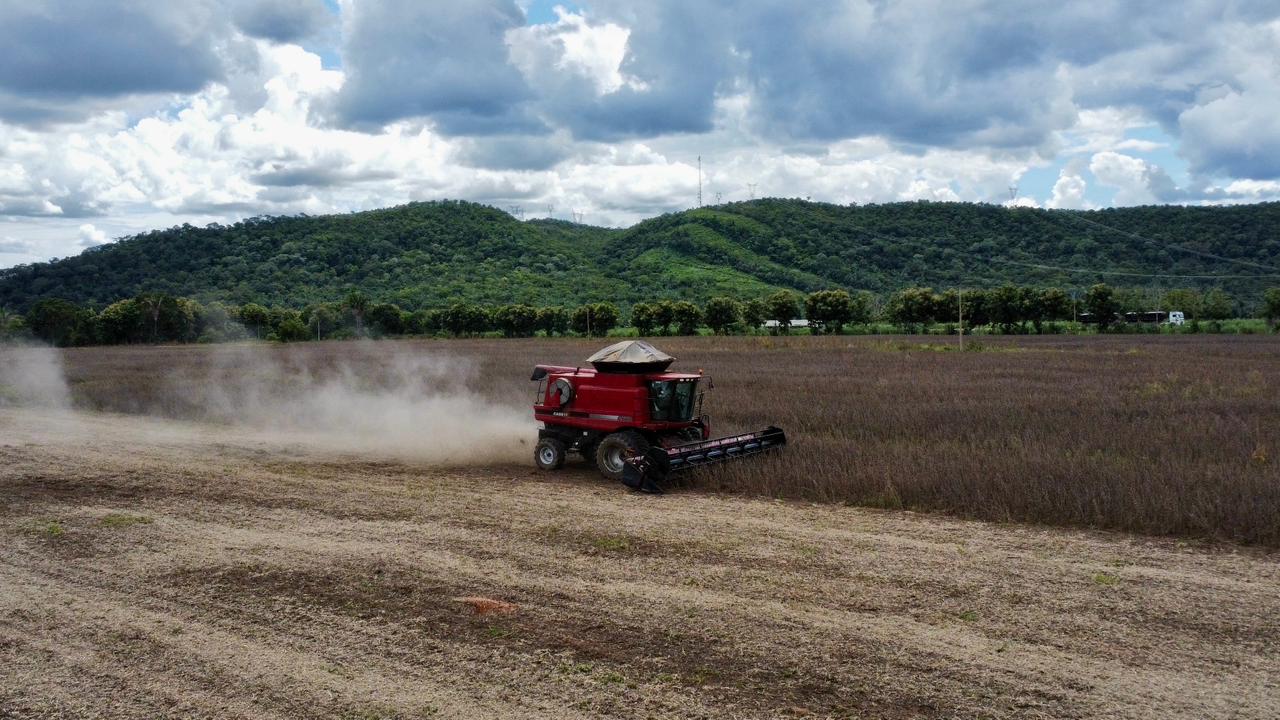 Área de cultivo de grãos