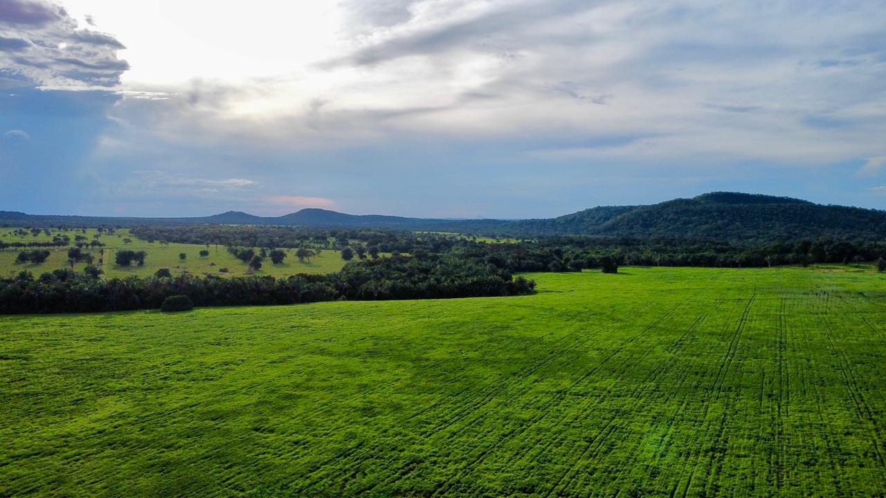 História da Agropecuária 371