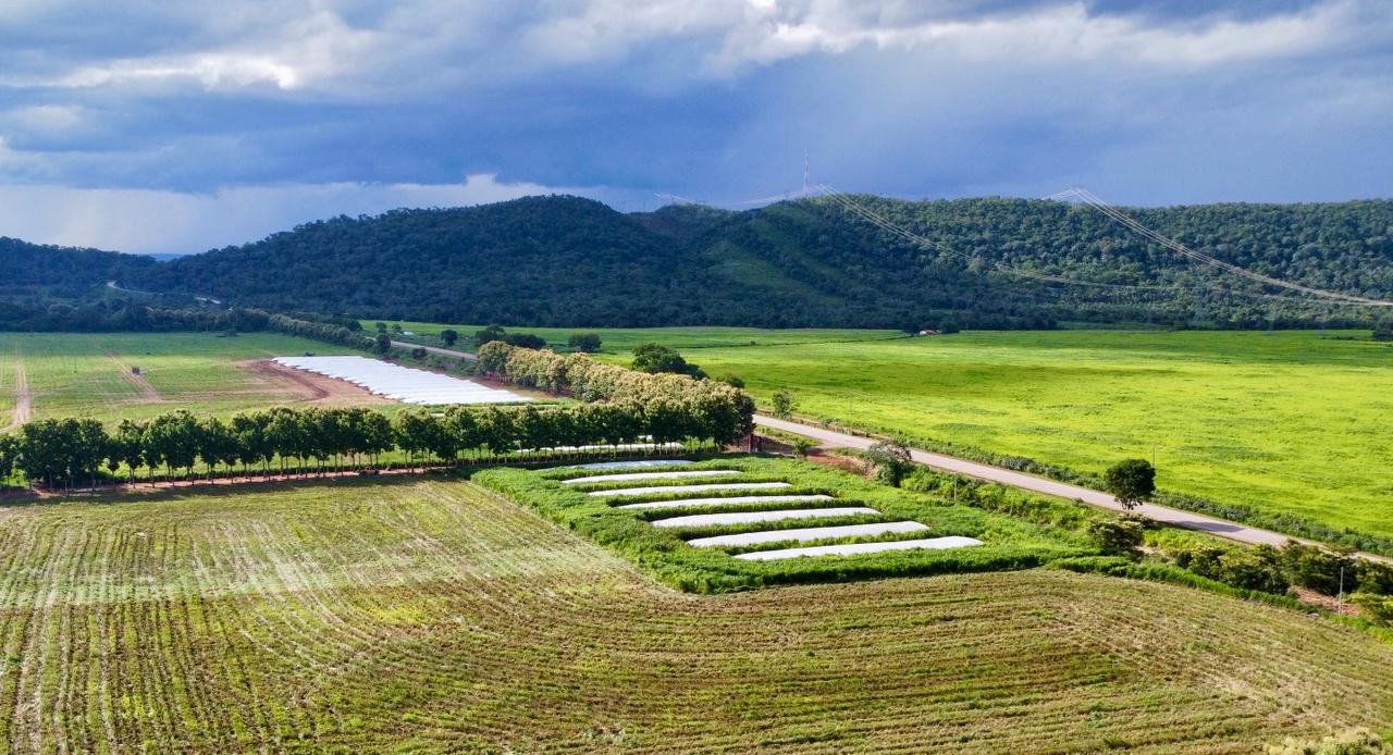 Estrutura produtiva no campo