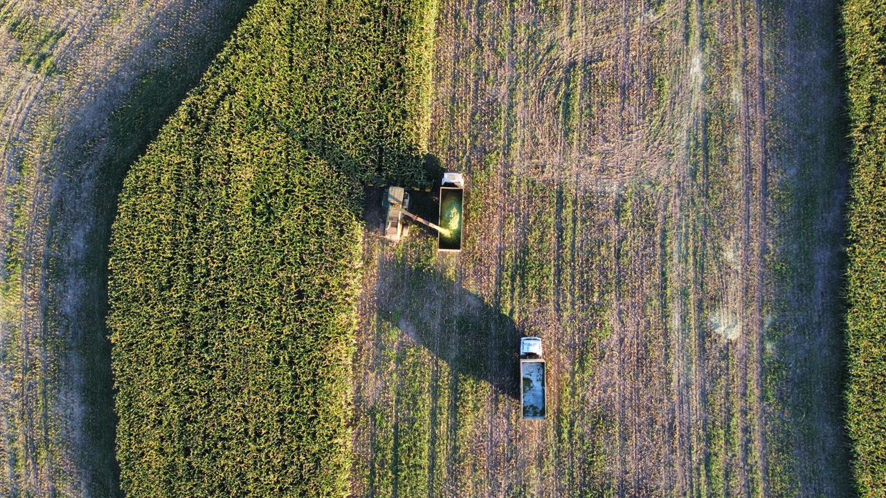 Manejo técnico na silagem