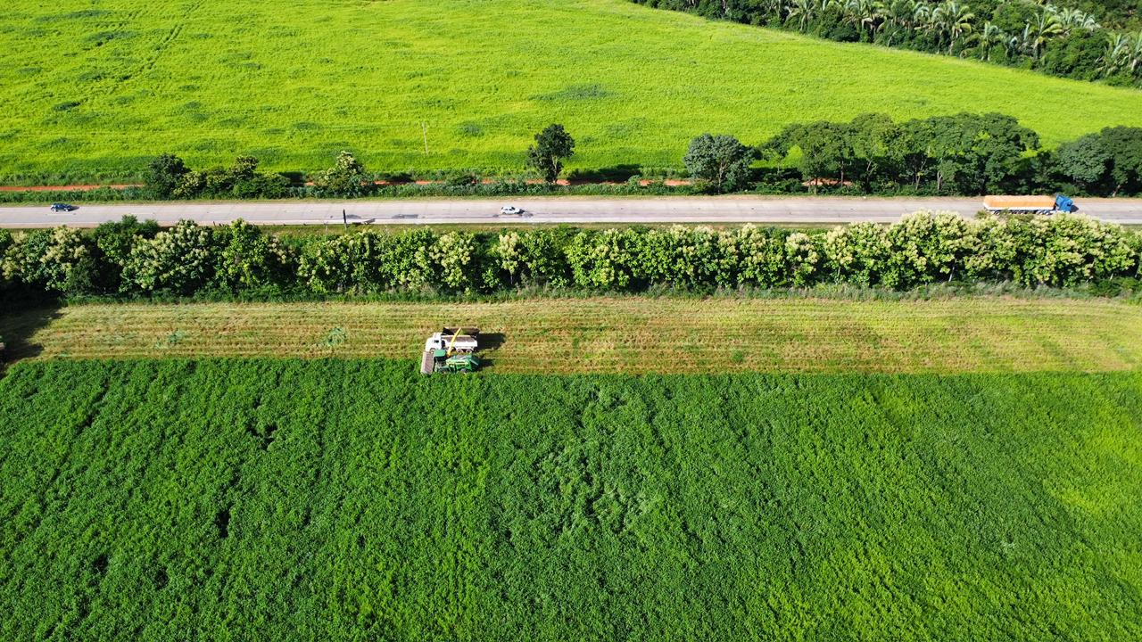 Silagem — imagem 8