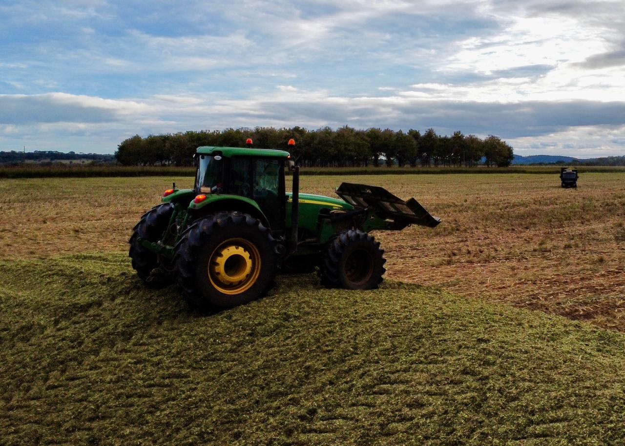 Produção de silagem